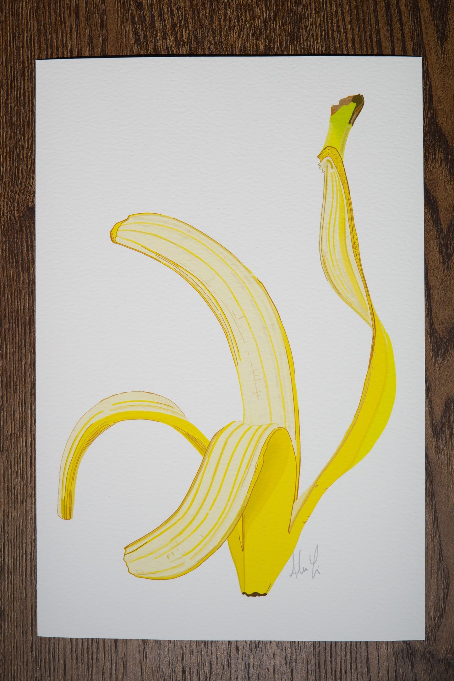 With Peeling - Modern, Contemporary Banana Peel Illustrations, Custom Size Archival Quality Fine Art Print (Giclee)