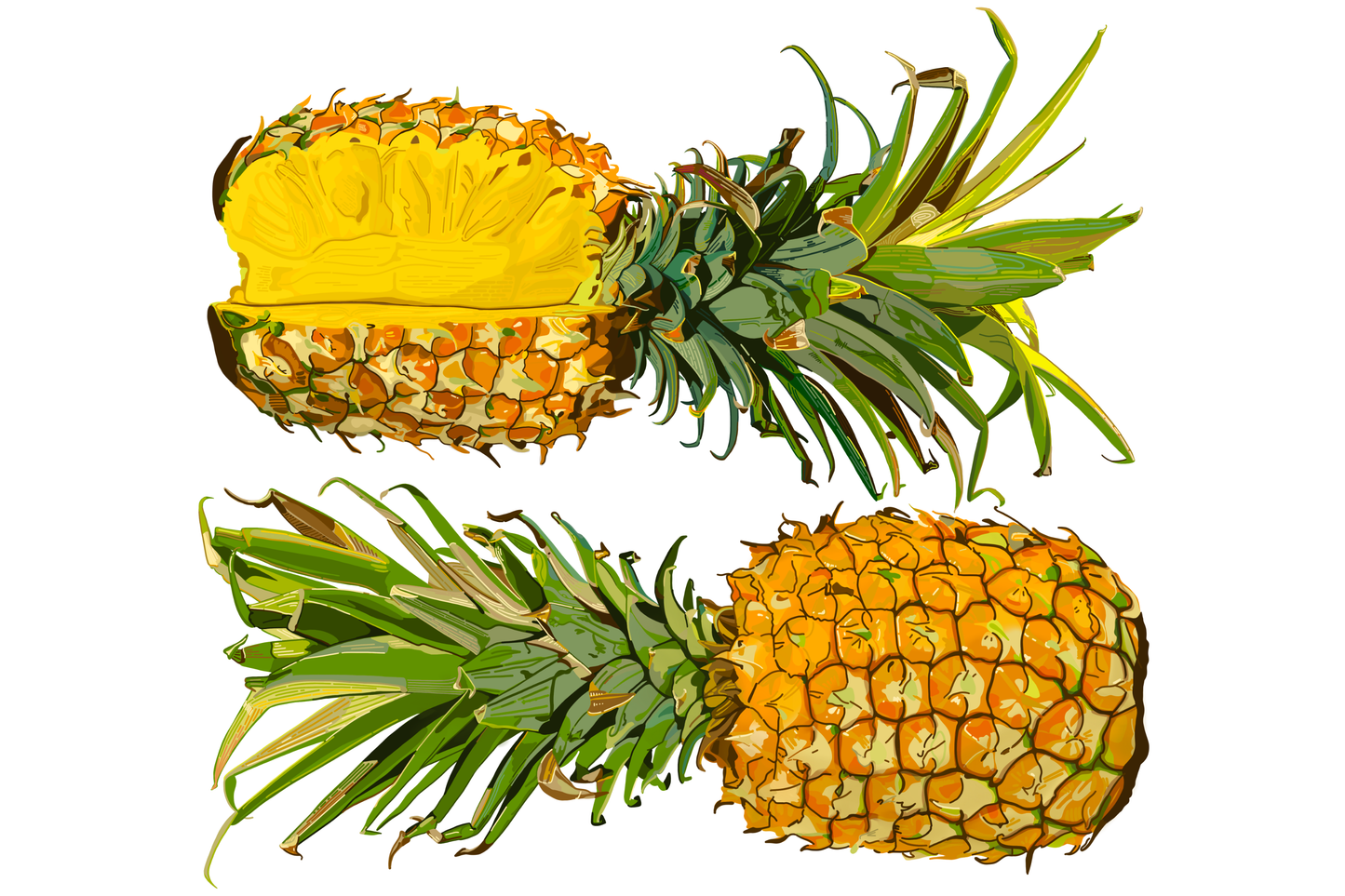 “The Piñacle of Fruit” - Modern, Contemporary Double Pineapple Cross Section Illustration, Custom Size Archival Quality Fine Art Print (Giclee)