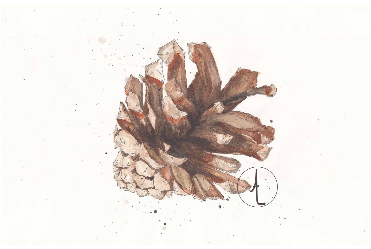 “Lone Pinecone” - Modern, Contemporary Watercolor Pinecone Illustration, Custom Size Archival Quality Fine Art Print (Giclee)