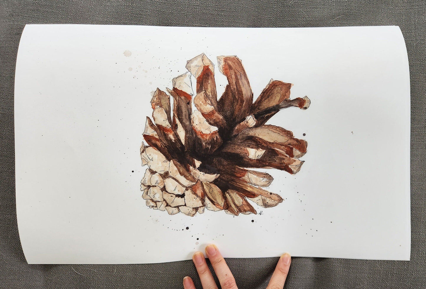 “Lone Pinecone” - Modern, Contemporary Watercolor Pinecone Illustration, Custom Size Archival Quality Fine Art Print (Giclee)