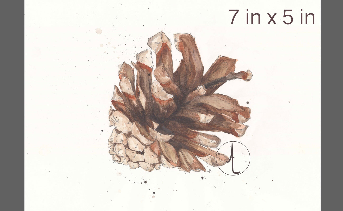 “Lone Pinecone” - Modern, Contemporary Watercolor Pinecone Illustration, Custom Size Archival Quality Fine Art Print (Giclee)